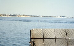 1990_0006806_N463