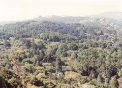 G05_0113