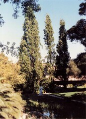 G05_0125