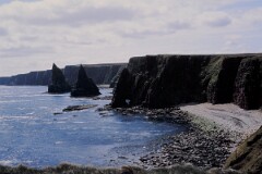 1987_CEH6297_F301