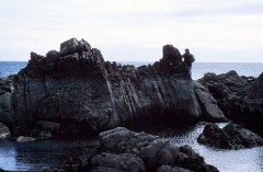 1987_CEH6301_F305