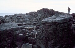 1987_CEH6303_F307