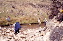 1987_CEH6326_F330