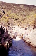 1987_CEH6329_F333
