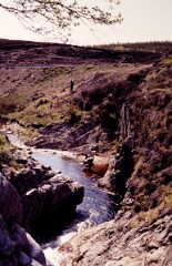 1987_CEH6330_F334