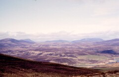 1987_CEH6331_F335