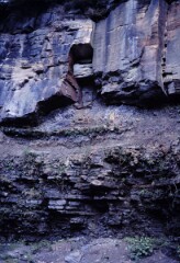 1983_CEH3779_A397