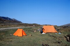 1977_CEH4464_B130