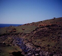 1977_CEH4498_B164