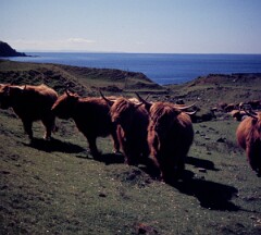 1977_CEH4500_B166