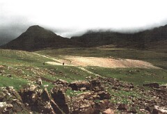 1990_B217