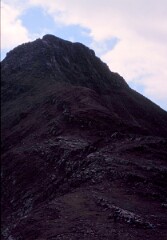 1990_CEH4530_B196