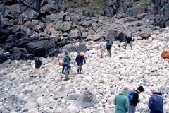 1990_CEH4544_B210