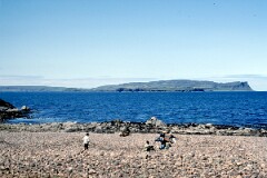 1990_CEH4558_B225
