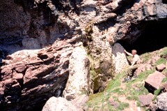 1990_CEH4572_B239