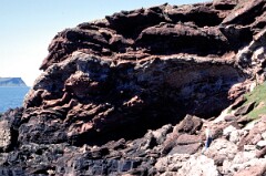 1990_CEH4574_B241