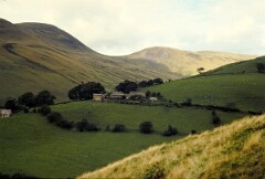 1978_0007995_Q034