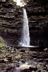 1976_0007989_Q028
