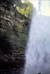 1976_0007990_Q029