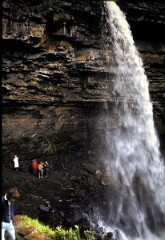 1976_0007991_Q030