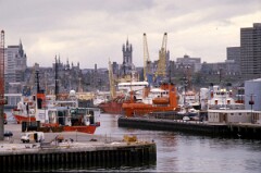 1988_0004687_K245