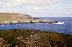 1988_0004690_K248