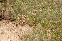 1988_0004695_K253