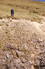 1988_0004696_K254