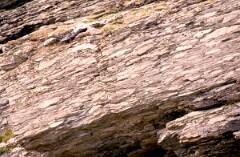 1988_0004697_K255