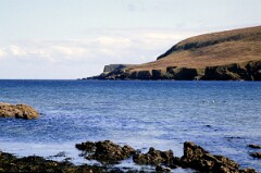 1988_0004702_K260