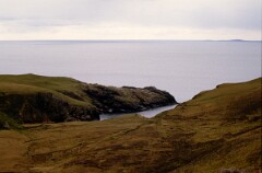 1988_0004705_K263