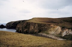 1988_0004709_K267