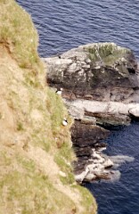 1988_0004715_K273
