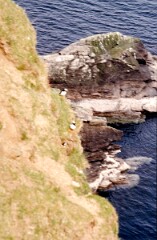 1988_0004716_K274