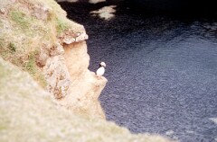 1988_0004717_K275