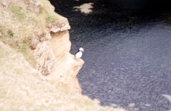 1988_0004719_K277