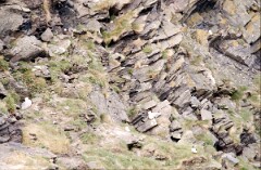 1988_0004723_K281