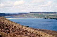 1988_0004724_K282
