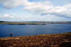 1988_0004728_K286