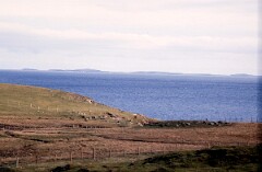 1988_0004731_K289
