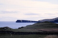 1988_0004732_K290