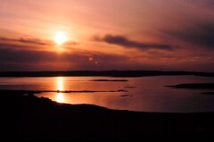 1988_0004733_K291