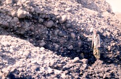 1988_0004742_K300