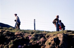 1988_0004745_K302