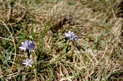 1988_0004756_K313