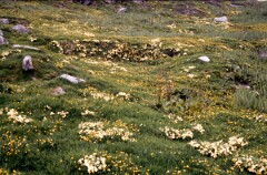 1988_0004758_K315