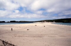 1988_0004767_K324