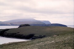 1988_0004772_K329
