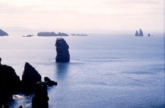 1988_0004785_K341