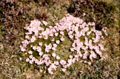 1988_0004788_K344